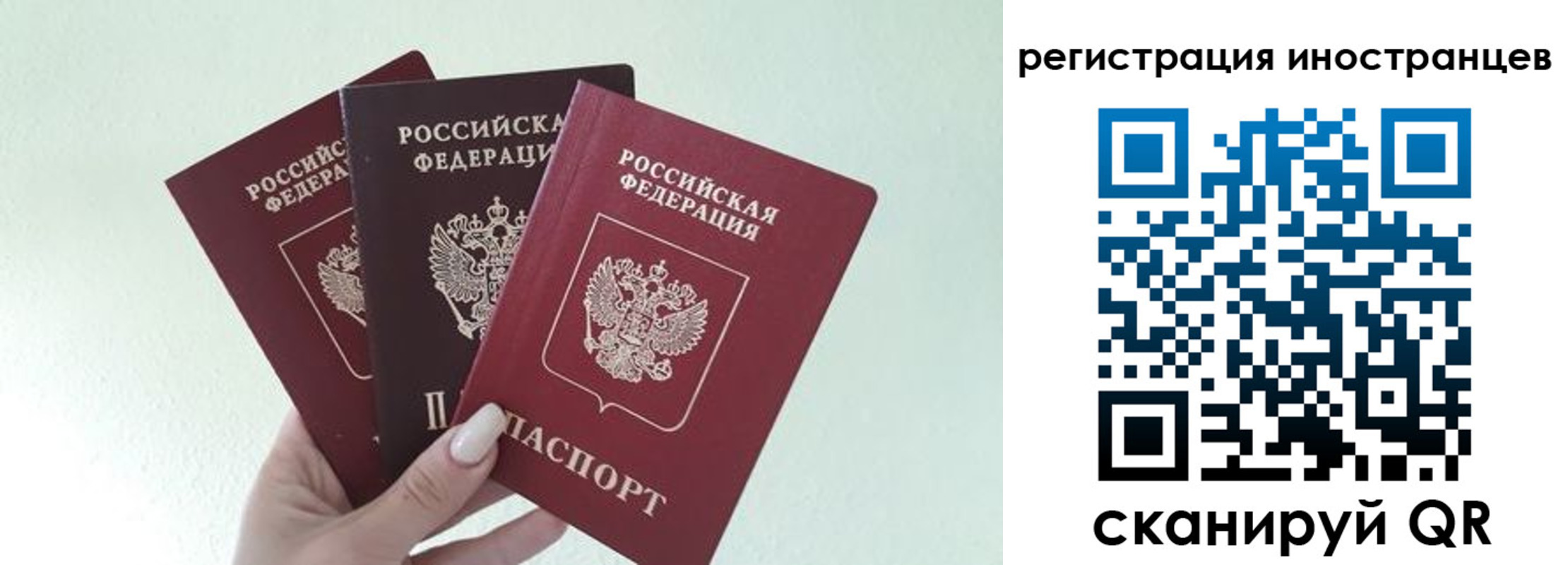 миграционный учет в Светогорске